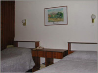 The Standard Twin Room